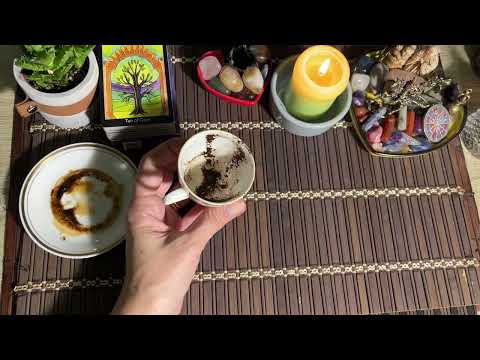 Видео: Чашка дня‼️