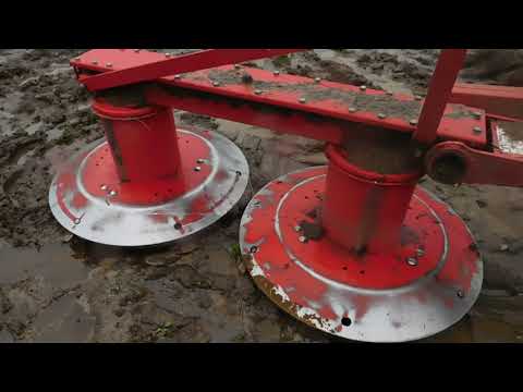 Видео: Новости из хозяйства в Панино!