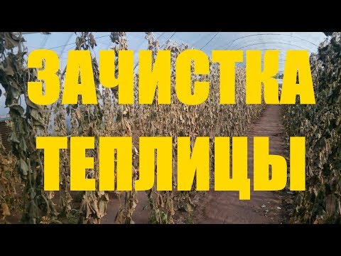 Видео: Зачистка теплиц