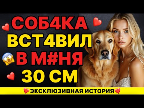 Видео: Моя собака всегда так встречает меня, когда муж уезжает в командировку