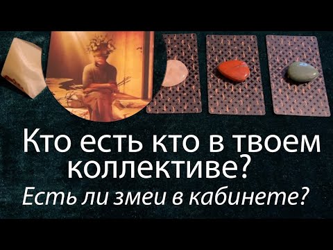 Видео: КТО ЕСТЬ КТО на ВАШЕЙ РАБОТЕ🔔🔔 ЕСТЬ ЛИ ЗМЕИ В КАБИНЕТЕ⁉️Таро🔮Tarot/Гадание
