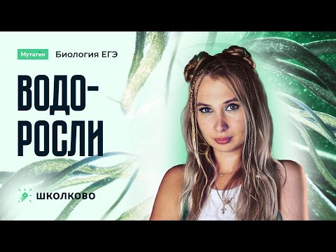 Видео: Водоросли | Подготовка к ЕГЭ 2026 по биологии