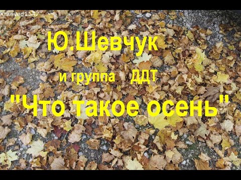 Видео: Ю.Шевчук объясняет что такое осень