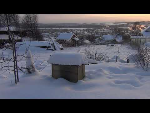 Видео: зимовка