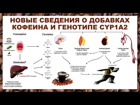 Видео: лекция: НОВЫЕ СВЕДЕНИЯ О ДОБАВКАХ КОФЕИНА И ГЕНОТИПЕ CYP1A2
