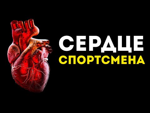 Видео: Вот чем отличается сердце спортсмена от обычного человека. (Неожиданно)