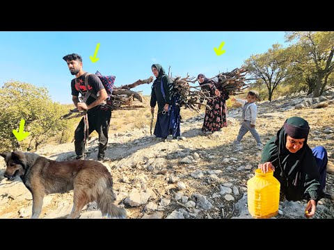 Видео: 🔥 «От дров к сочувствию: как оператор согрел сердца семьи?»