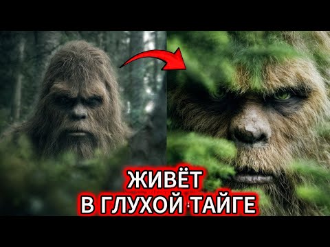 Видео: ТАЙГА ЭТОГО НЕ ПРОСТИТ. 6 историй, после которых ты БОИШЬСЯ зайти в лес.