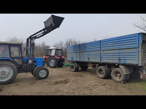 Видео: Отгружаем подсолнечник Кречет. Турс-1500М,МТЗ-82,МТЗ -892💪
