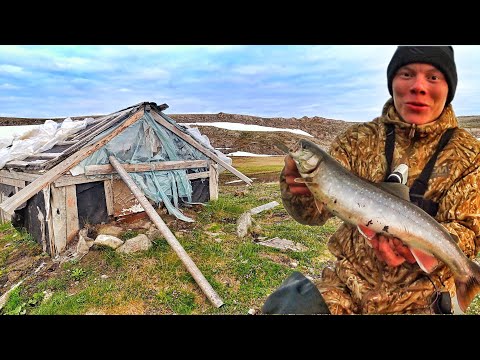 Видео: РЫБАЛКА НА СВЯЩЕННОМ ОСТРОВЕ!! ЖИВЕМ В СТАРОЙ ИЗБЕ В ГОРАХ!  И  ЛОВИМ АРКТИЧЕСКОГО ГОЛЬЦА !!!