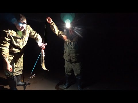 Видео: КАК АРХАНГЕЛЬСКИЕ ПАЦАНЫ, ПЕРВЫХ НАЛИМОВ ДОСТАВАЛИ! ДОНКИ НА ПЕСКЕ, БРОСИЛИ СЕТИ \ РЫБАЛКА В НОЧЬ Ч2