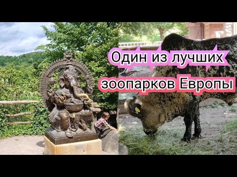 Видео: Основные локации,хороший ресторан.Как лучше прогуляться по зоопарку.Майская красивая природа .