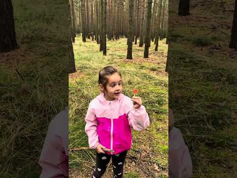Видео: 14 сентября 2025 г.