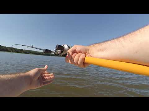 Видео: Ловим судака на джиг 2020, Новые катушки и Секреты правельного хвата. Легенда от Daiwa