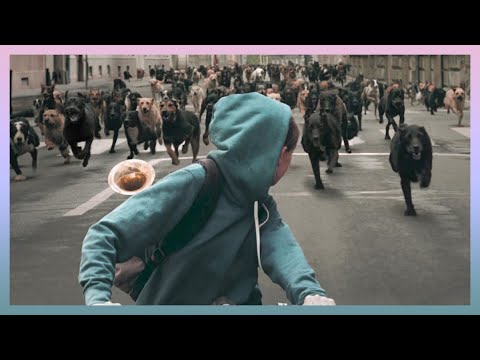 Видео: Нохой хүмүүсээс өшөө авахаар арми бүрдүүлнэ
