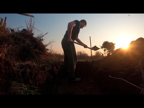 Видео: Выкопал яму, для чего? Кристина пересадила малину и викторию. 22.04.2020