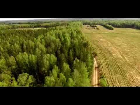 Видео: Рожденная Луной | КР | Мия и Макс Фолл