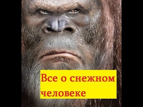 Видео: Йети снежный человек есть ли он на самом деле.Все о снежном человеке .