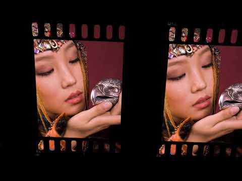 Видео: Самое дорогое седло в мире!