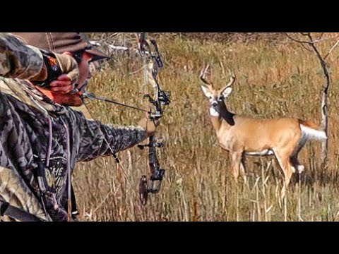 Видео: Поиск и выслеживание ПОШЛИ НЕ ТАК — ранее не виденные кадры!