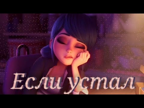 Видео: Леди баг и Супер кот/Если устал ~на заказ~