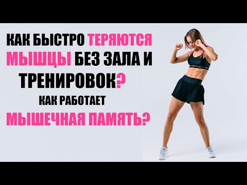 Видео: МЫШЕЧНАЯ ПАМЯТЬ СУЩЕСТВУЕТ? // КАК БЫСТРО ИСЧЕЗАЮТ МЫШЦЫ?