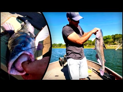 Видео: Ловля сома на озере Трумэн