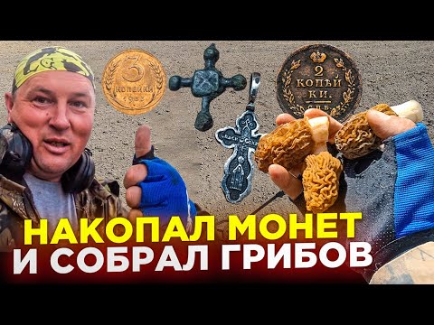 Видео: НАКОПАЛ МОНЕТ И НАСОБИРАЛ ГРИБОВ. КОП 2023 ПОИСК МОНЕТ В БЕЛАРУСИ