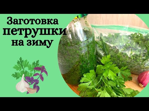 Видео: Свежая ПЕТРУШКА круглый год 🌿 заготовка на зиму