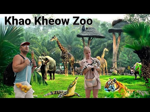Видео: Экскурсия в Зоопарк Кхао Кхео из Паттайи | VLOG Большой Выпуск