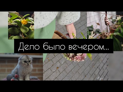Видео: Дело было вечером...