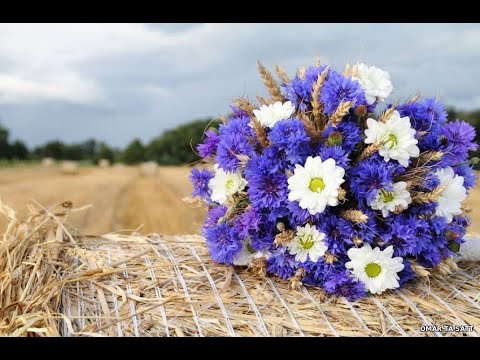 Видео: 21 июня - ЛЕТНЕЕ СОЛНЦЕСТОЯНИЕ 2024 в ГРУППЕ единомышленников  БЕСЕДА! НАСТРОЙКА! Лора Шереметьева