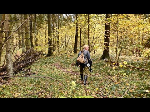 Видео: КОП, ОБАЛДЕТЬ СРАЗУ ТРИ СЕЛУХИ,ОБНАРУЖИЛИ В ЛЕСУ.