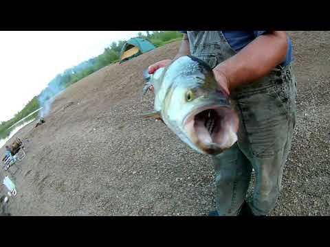 Видео: Рыбалка и отдых на сплаве по реке Уфа .