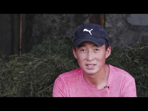 Видео: Күлүк аттар / Аргымак / 45-чыгарылыш