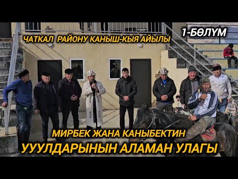 Видео: Мирбек жана Каныбек акенин уулдарынын аламан улагы 1-бөлүм Чаткал району.