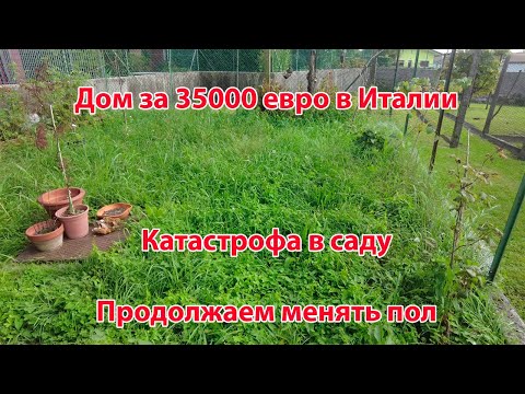 Видео: 4️⃣0️⃣ Эпопея с полом подходит к концу | Катастрофа в саду | Вкусный стейк