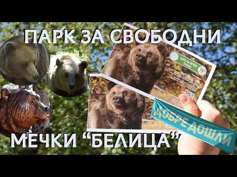 Видео: Парк за мечки Белица: Запознайте се с мечките отблизо