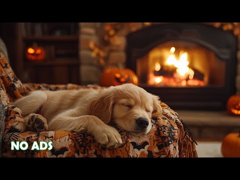 Видео: 12 ЧАСОВ Спокойной Музыки для Собак 🐶🎃 Против Тревоги и Стресса 💖 Расслабление 🎵 Без Рекламы