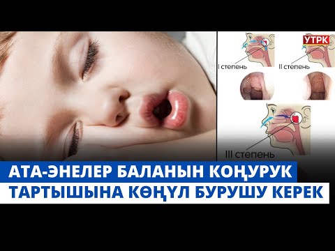 Видео: Ата-энелер баланын коңурук тартышына көңүл бурушу керек | "БӨБӨК" КӨРСӨТҮҮСҮ