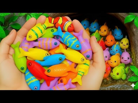 Видео: Поймайте в небольшом пруду разноцветных декоративных рыбок, золотых рыбок, маленьких черепашек, п...
