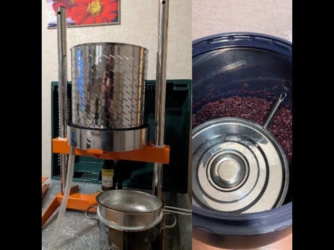 Видео: Прессую Каберне Совиньон Онлайн