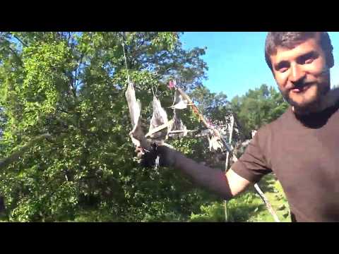 Видео: КАК ВЯЛЯТ ТРЕСКУ ПРЯМО В МОРЕ/ДЕРУ ЯКОРЕМ ЗМЕЙКУ/ПОРЫБАЧИЛ ТРЕСКИ