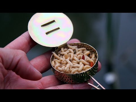 Видео: РИБОЛОВ с Bait Dropper-КАК ДА ЛОВИМ МРЕНИ, СКОБАРИ и КЕФАЛИ?ЗАКАЧИХ ОГРОМНА РИБА с БОЛОНЕЗАТА