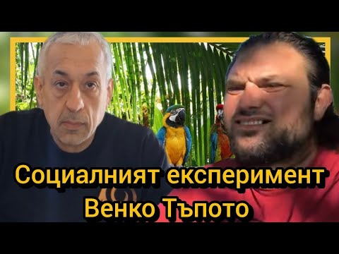 Видео: Социалният експеримент Венко Тъпото 