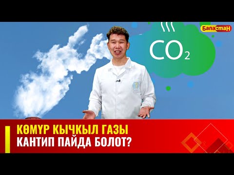 Видео: Көмүр кычкыл газы кантип пайда болот? | Билесиңби? 21.04.2024