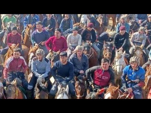 Видео: Яккабог Имомёкубда Улугбек полвонни купкариси.Бакаул Уткир полвон.