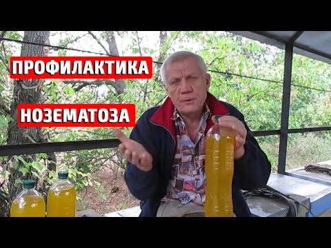 Видео: Профилактика от нозематоза  Борьба с пчелиным воровством