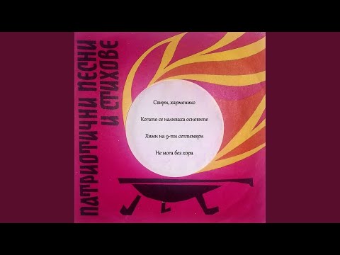 Видео: Свири, хармонико