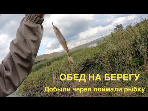 Видео: ОБЕД НА ЖИВОПИСНОМ БЕРЕГУ